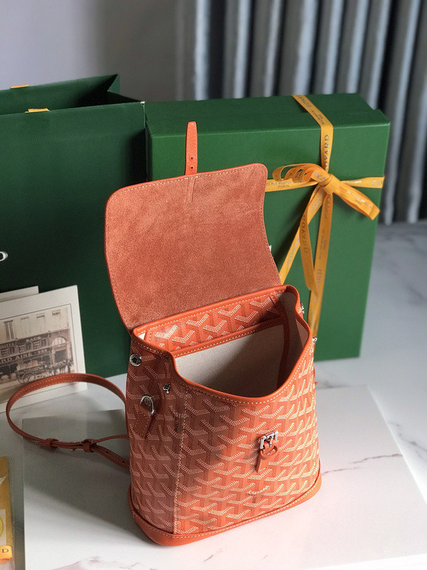 G09ard alpin shop mini backpack