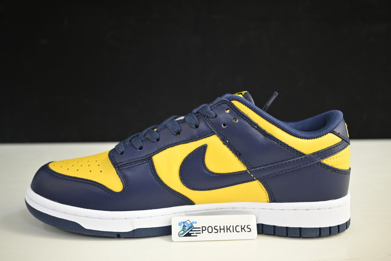 NIKE DUNK LOW MICHIGAN DD1391-700