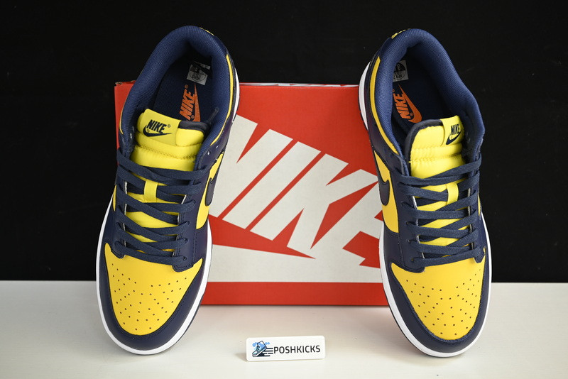 NIKE DUNK LOW MICHIGAN DD1391-700