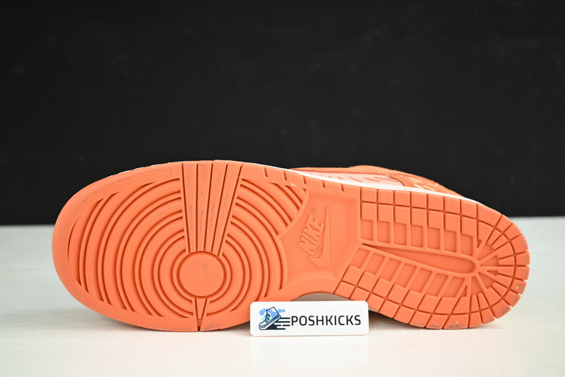 Nike Dunk Low NH Winter Solstice (W) DO6723-800