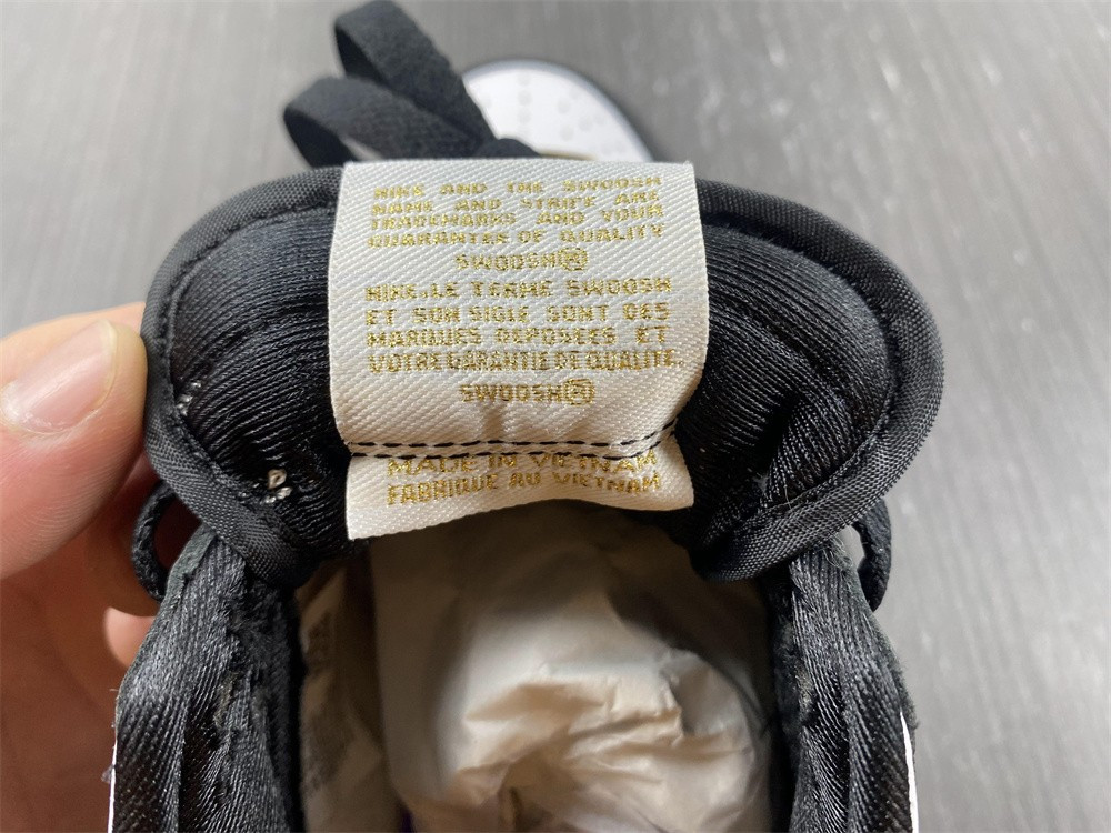 Nike Dunk Low World Champ DR9511-100