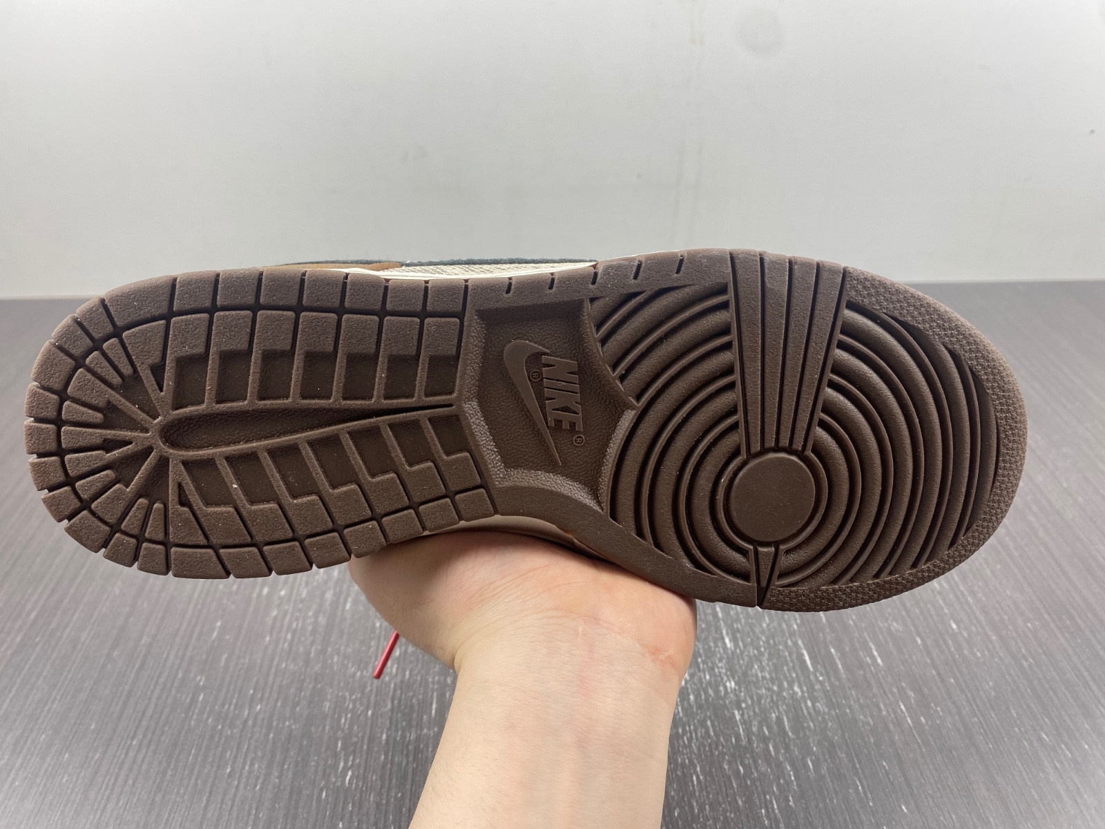 Nike Dunk Low CO.JP 2023 FJ5434-120