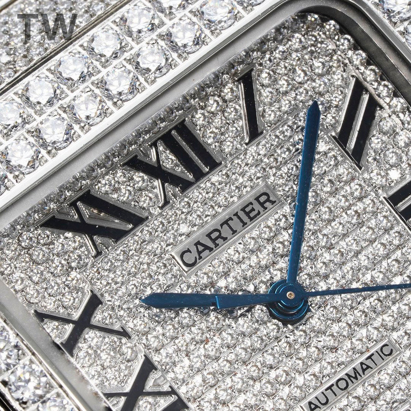 c-a-t-i-e-r watches