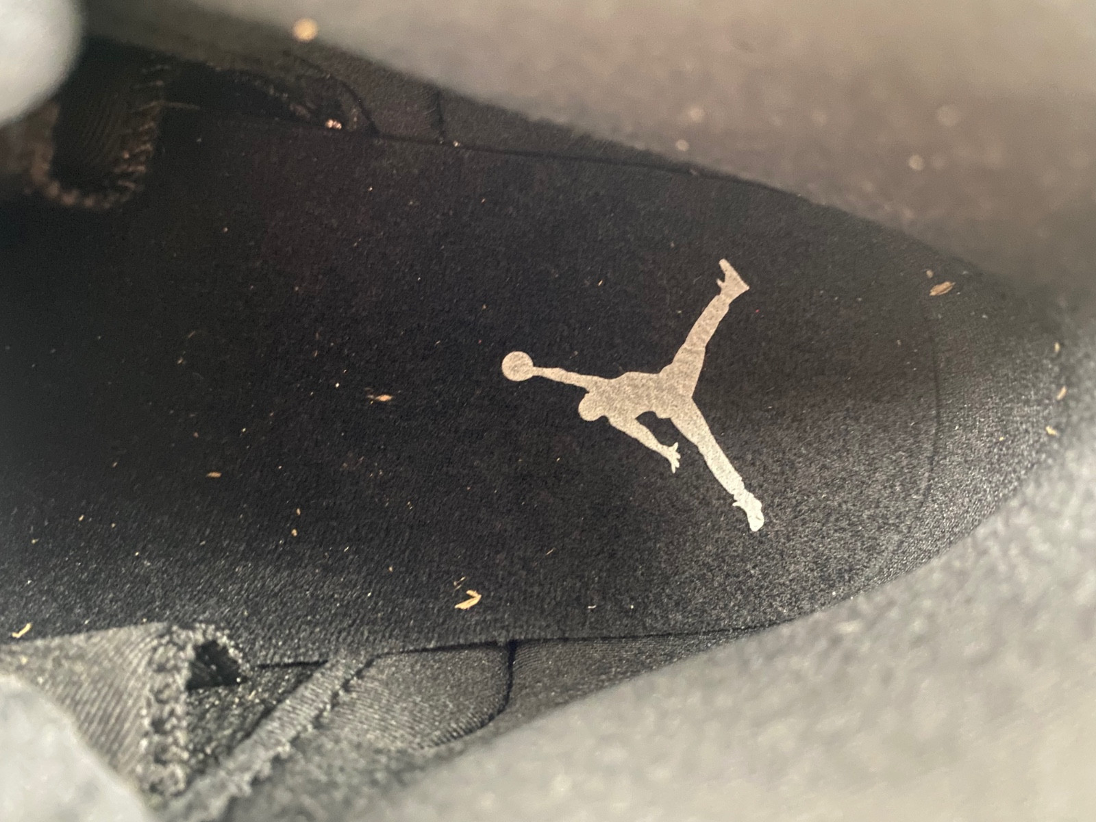 Air Jordan 12 Black Wolf Grey CT8013-010