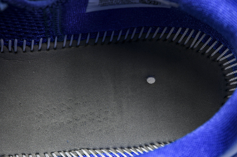 Nike Kobe 6 Protro "Dodgers" CW2190-400