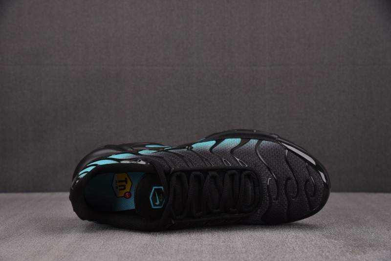 Nike Air Max Plus Black Aurora Green DM0032-016