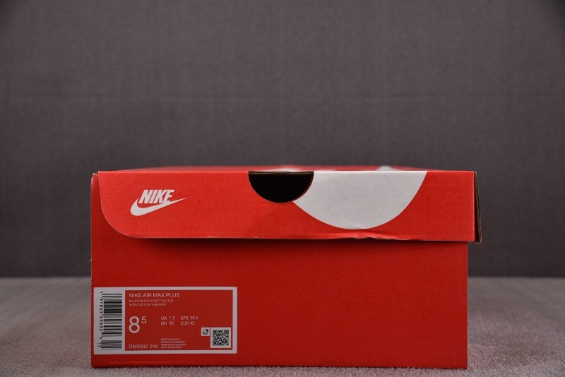 Nike Air Max Plus Black Aurora Green DM0032-016