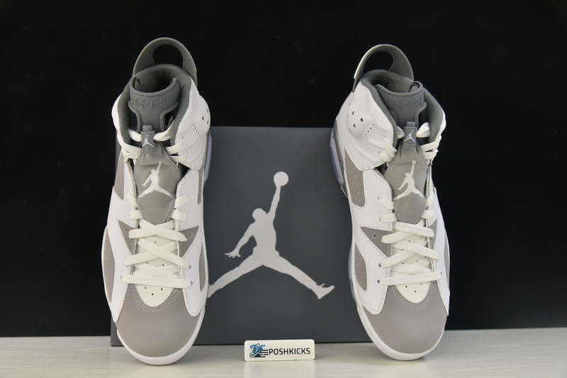 Air Jordan 6 “Cool Grey” CT8529-100