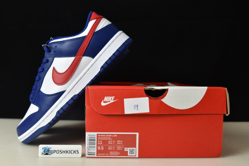 Nike Dunk Low USA (W) DD1503-119