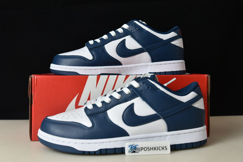 Nike dunk SB Low Retro Valerian Blue DD1391-400