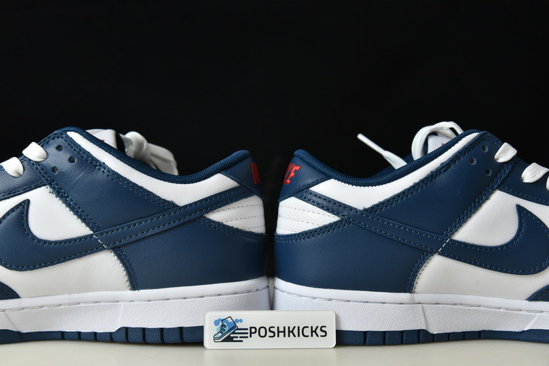 Nike dunk SB Low Retro Valerian Blue DD1391-400