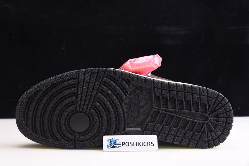 Jordan 1 High OG Bio Hack 555088-201