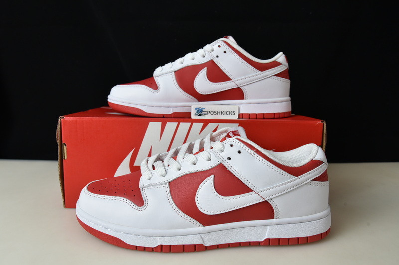 Nk Dunk Low “University Red” DD1391-600