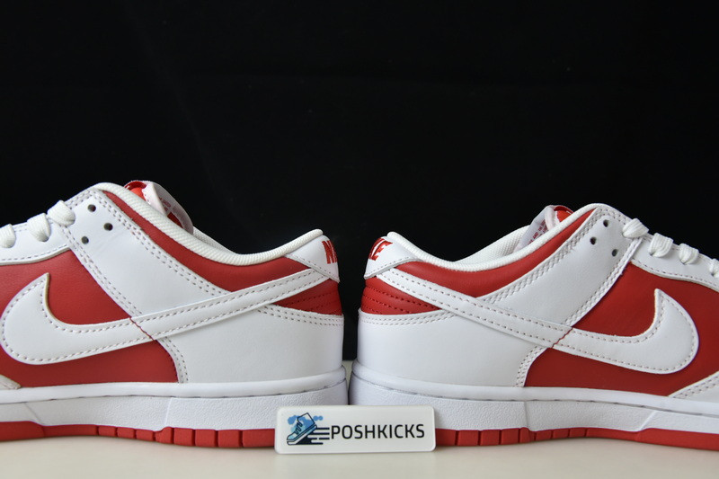 Nk Dunk Low “University Red” DD1391-600