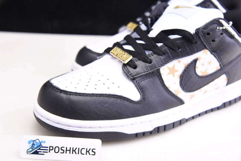 Nike SB Dunk Low DH3228-102