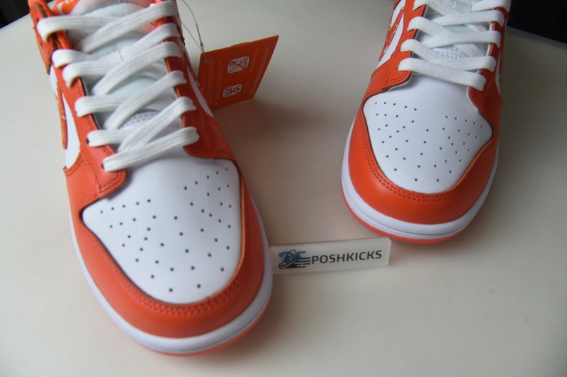 NIKE DUNK LOW ESSENTIAL PAISLEY PACK ORANGE (W) DH4401-103