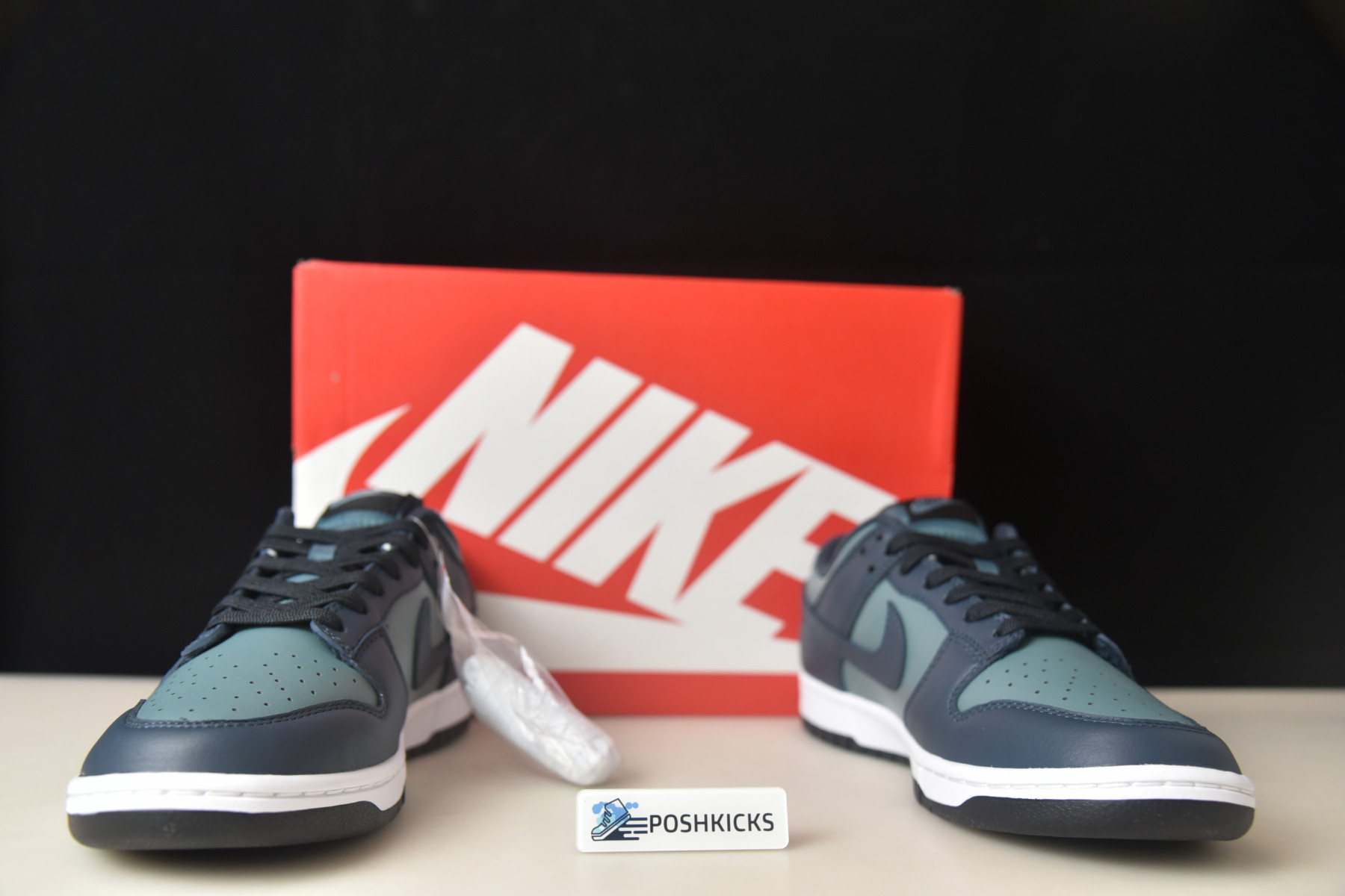 NIKE DUNK LOW " OCEAN" DR9705-300