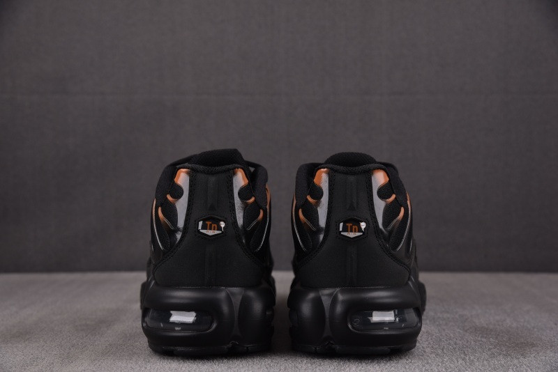 Nike Air Max Plus Dark Obsidian Monarch FN6949-400