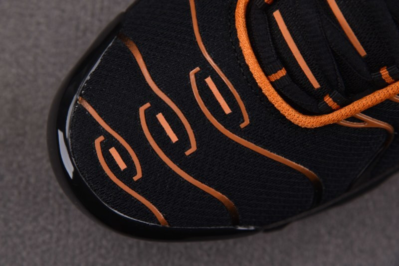 Nike Air Max Plus Dark Obsidian Monarch FN6949-400