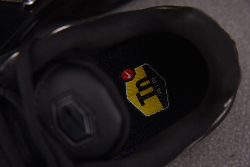 Nike Air Max Plus SE "Black & Metallic Silver" | HJ9743-001