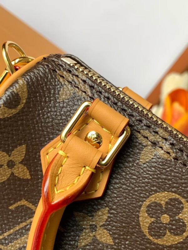 l0vis Vvtt0n nano speedy