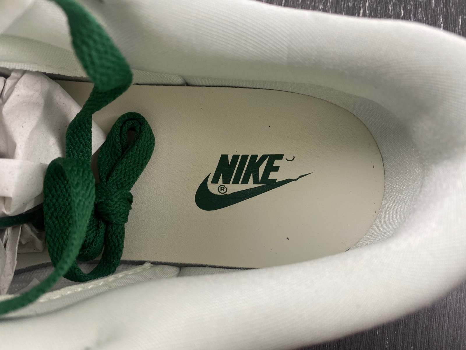 Nike Dunk Low LX WMNS “Green Ostrich” FJ2260-002