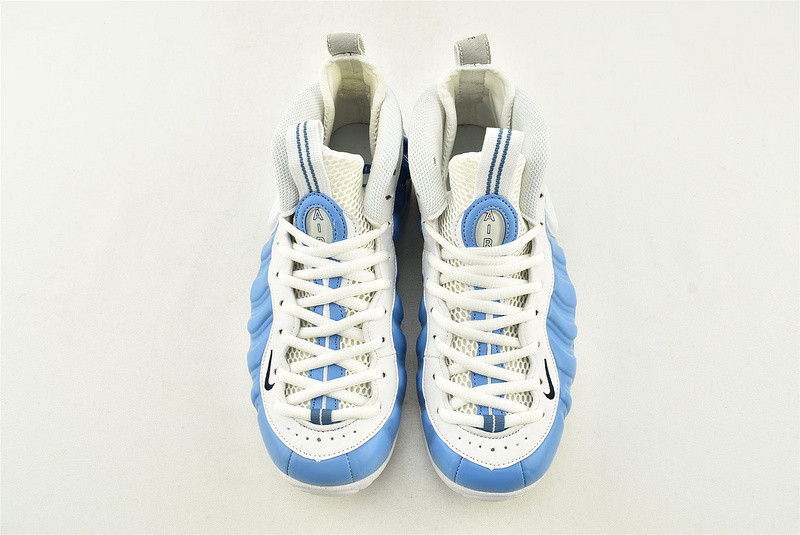 Nike Air Foamposite Pro 