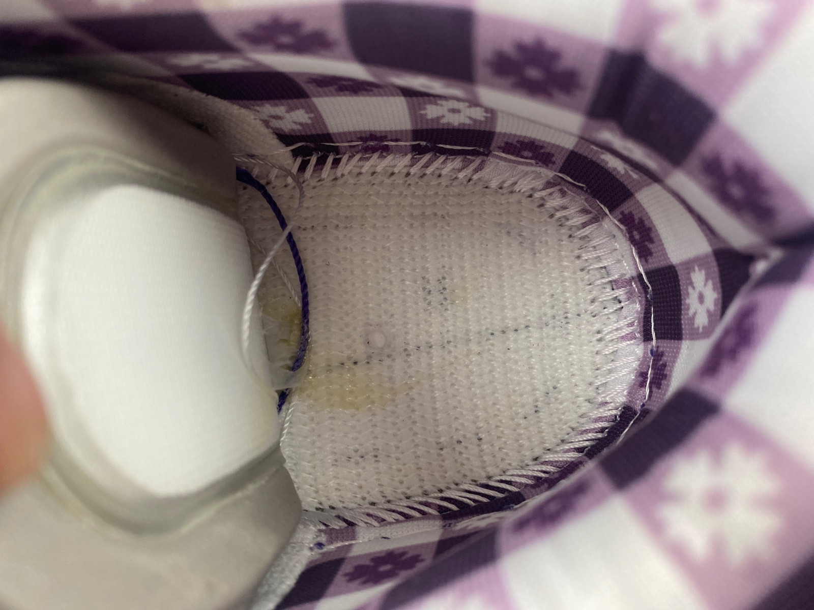 NIKE SB DUNK LOW CONCEPTS PURPLE LOBSTER BV1310-555