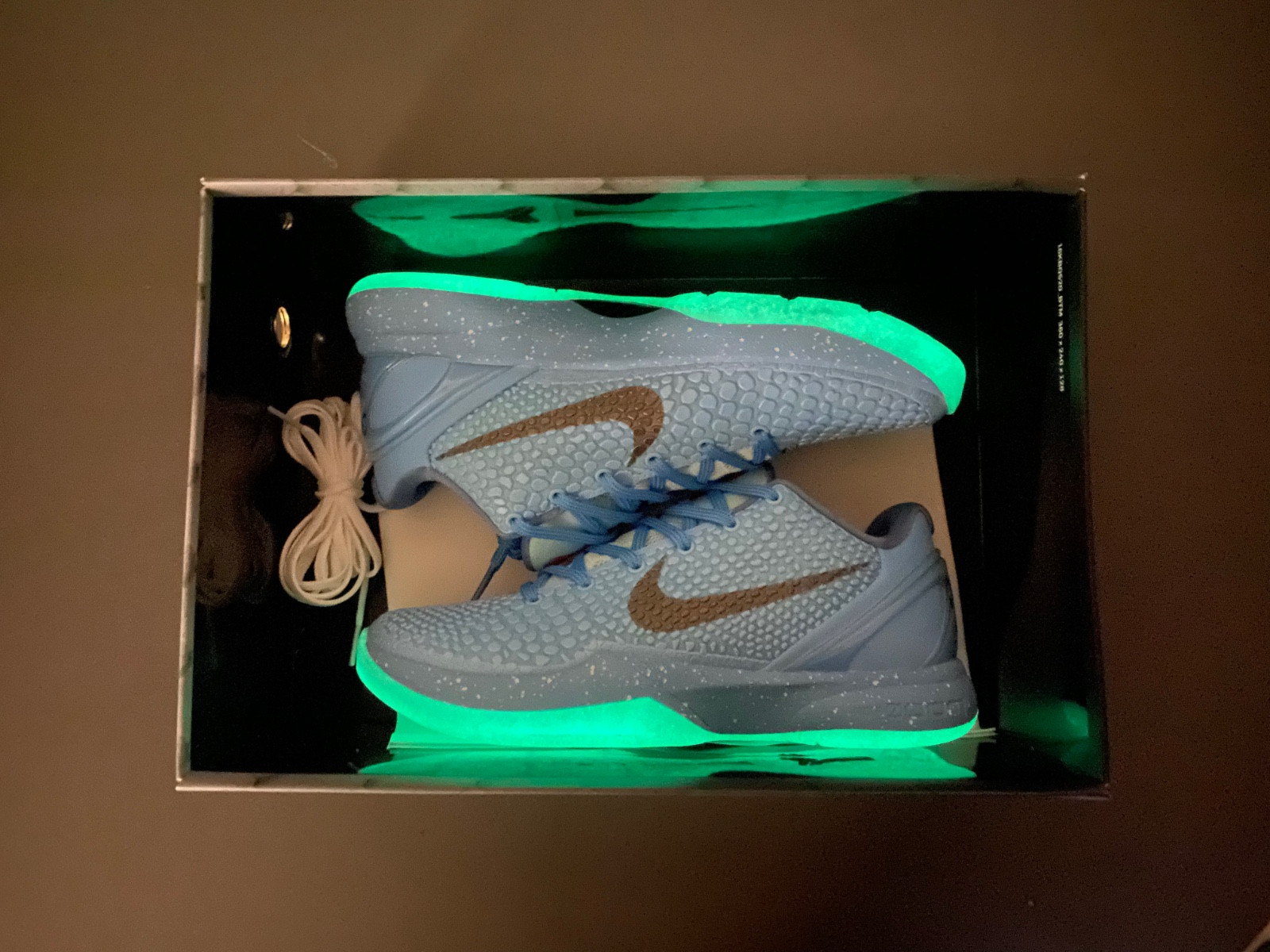 Nike Kobe 6 ice grinch. P.E PE2023-100