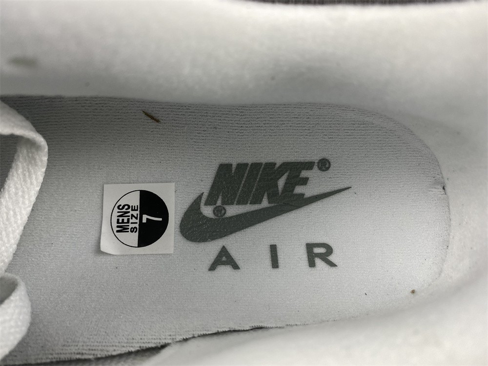 NIKE AIR MAX 1 SPIRAL SAGE DB5074-100