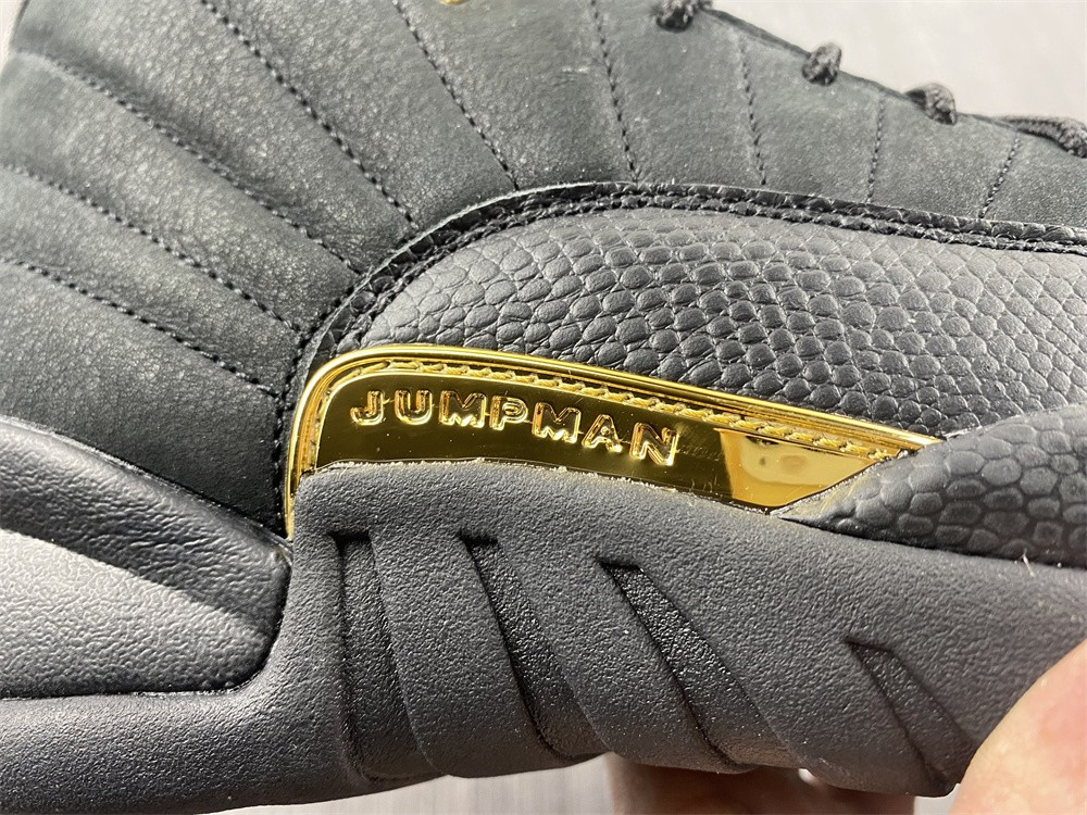 Air Jordan 12 "Black Taxi" CT8013-071